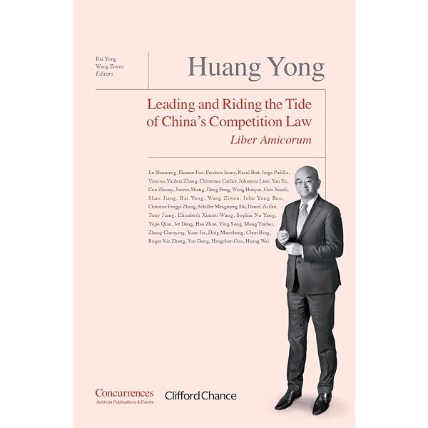 Amazon.com: 幻想-挫折-反思-探索-许良英未完成的自传: Illusions